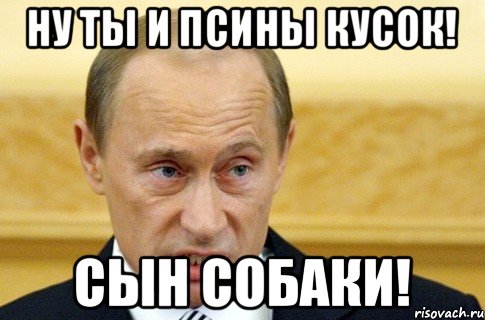 Ну ты и псины кусок! Сын собаки!, Мем путин