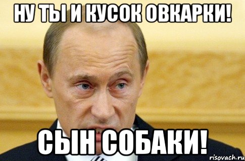 Ну ты и кусок овкарки! Сын собаки!, Мем путин