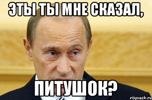 Эты ты мне сказал, Питушок?, Мем путин