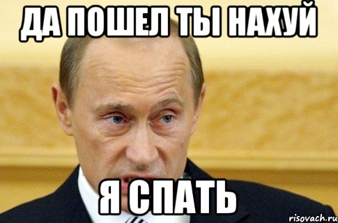 Да пошел ты нахуй Я спать, Мем путин