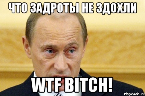 ЧТО ЗАДРОТЫ НЕ ЗДОХЛИ WTF BITCH!, Мем путин