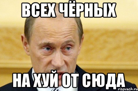 Всех чёрных на ХУЙ от сюда, Мем путин