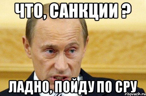 Что, санкции ? Ладно, пойду по сру, Мем путин