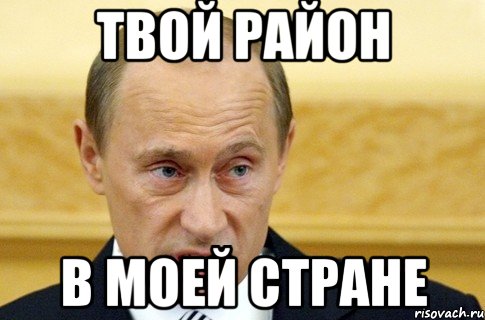 Твой район В моей стране, Мем путин