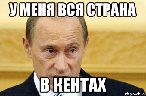 У меня вся страна В кентах, Мем путин