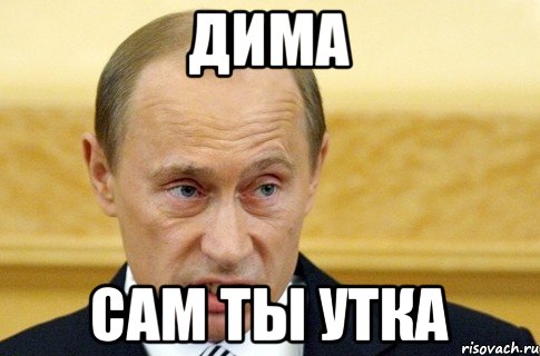 дима сам ты утка, Мем путин