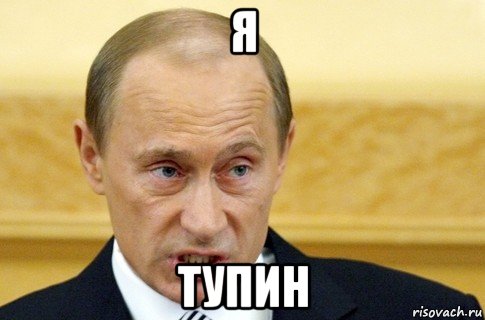 Я Тупин, Мем путин