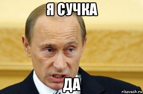 я сучка ДА, Мем путин