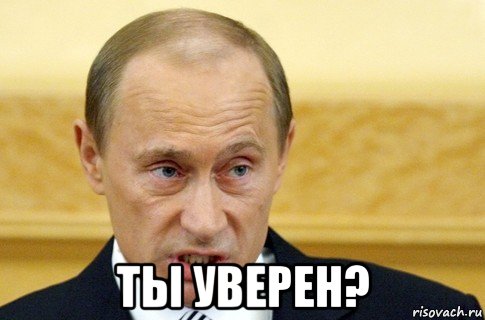  ты уверен?, Мем путин