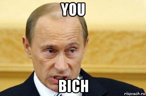 you bich, Мем путин