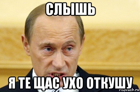 слышь я те щас ухо откушу, Мем путин