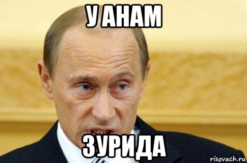 у анам зурида, Мем путин