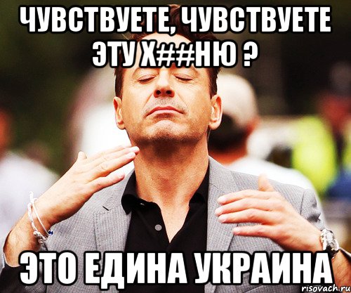 Чувствуете, чувствуете эту х##ню ? Это едина украина, Мем   Дауни-младший нюхает