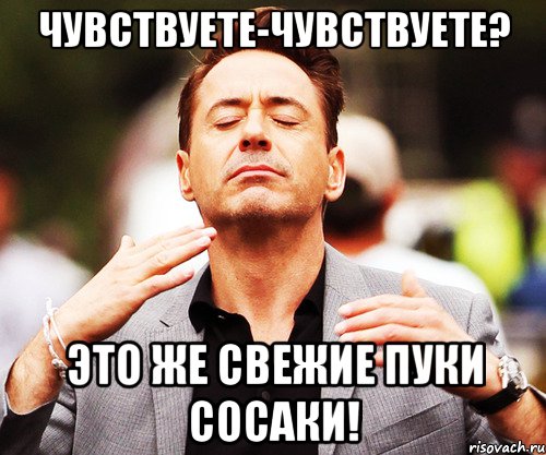 чувствуете-чувствуете? это же свежие пуки сосаки!, Мем   Дауни-младший нюхает