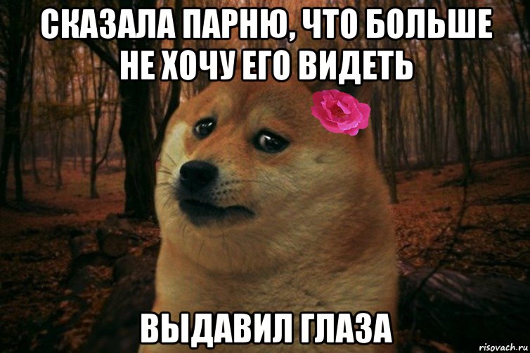 сказала парню, что больше не хочу его видеть выдавил глаза, Мем  SAD DOGE GIRL