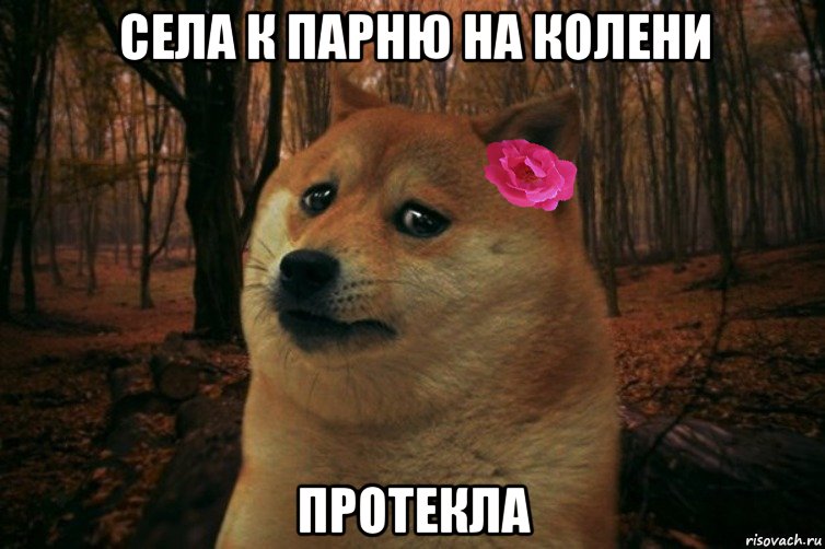 Села к парню на колени Протекла, Мем  SAD DOGE GIRL