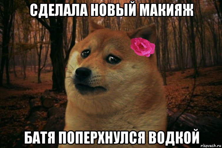 Сделала новый макияж Батя поперхнулся водкой, Мем  SAD DOGE GIRL