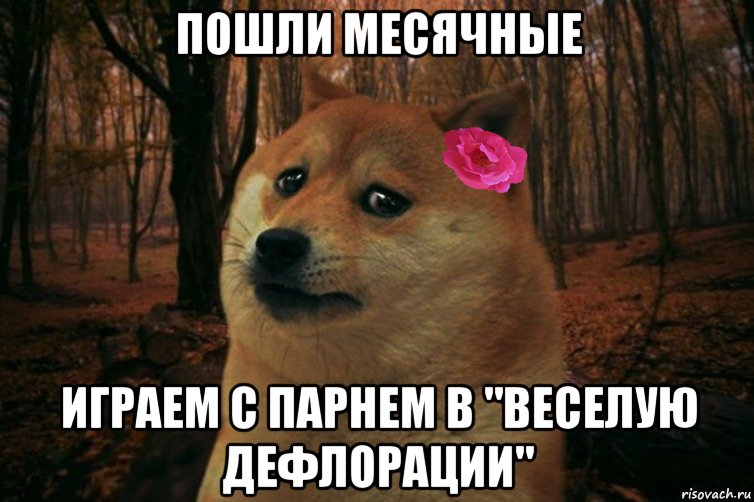 Пошли месячные Играем с парнем в "веселую дефлорации", Мем  SAD DOGE GIRL