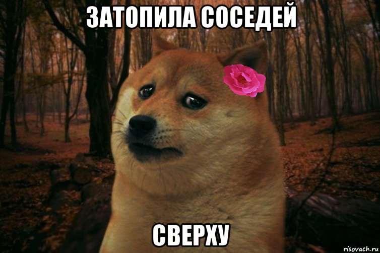 Затопила соседей Сверху, Мем  SAD DOGE GIRL