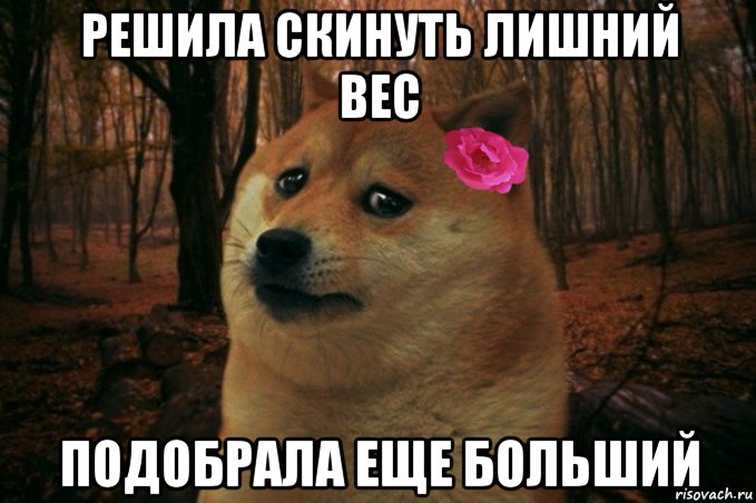 решила скинуть лишний вес подобрала еще больший, Мем  SAD DOGE GIRL