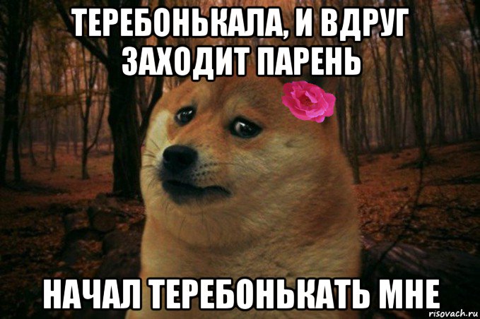 теребонькала, и вдруг заходит парень начал теребонькать мне, Мем  SAD DOGE GIRL