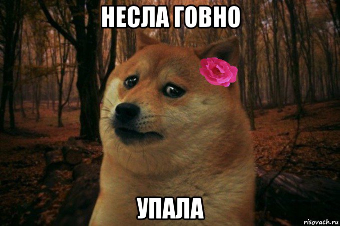 несла говно упала, Мем  SAD DOGE GIRL