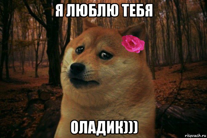 я люблю тебя оладик))), Мем  SAD DOGE GIRL