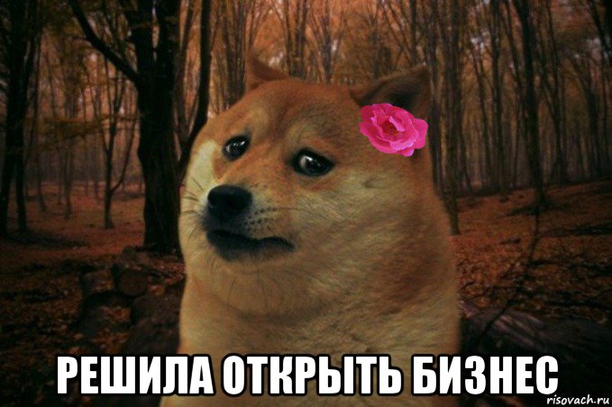  решила открыть бизнес, Мем  SAD DOGE GIRL