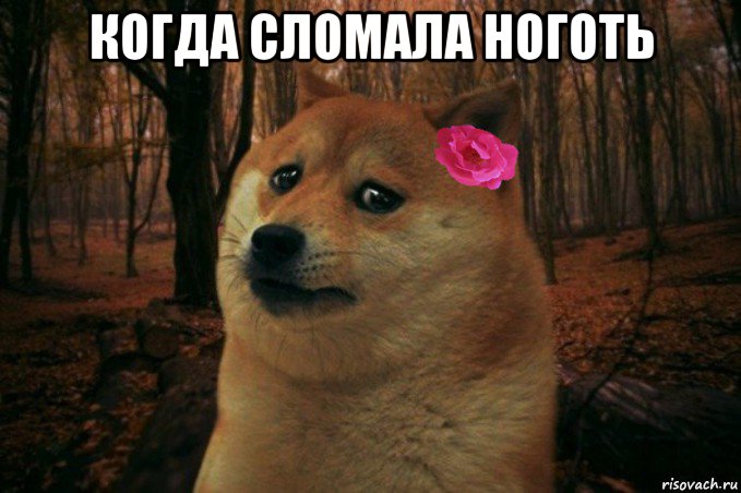 когда сломала ноготь , Мем  SAD DOGE GIRL