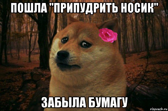 пошла "припудрить носик" забыла бумагу, Мем  SAD DOGE GIRL