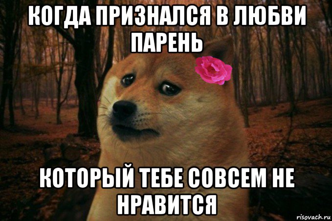 когда признался в любви парень который тебе совсем не нравится, Мем  SAD DOGE GIRL