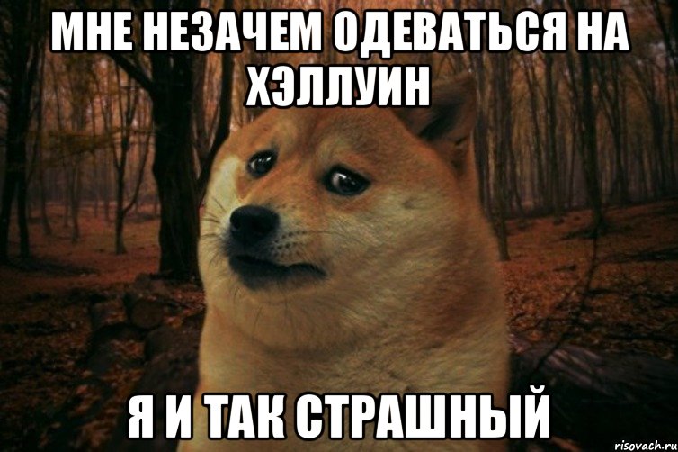 Мне незачем одеваться на хэллуин Я и так страшный, Мем SAD DOGE