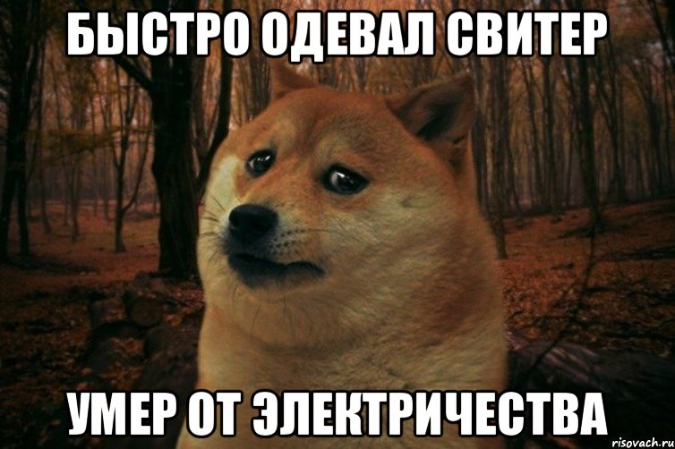 Быстро одевал свитер умер от электричества, Мем SAD DOGE