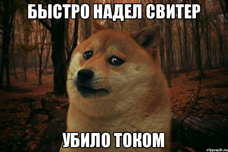 Быстро надел свитер убило током, Мем SAD DOGE