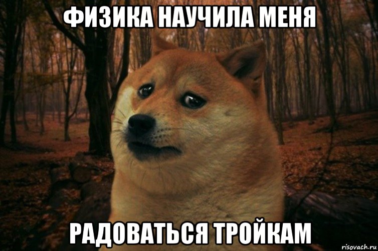 Физика научила меня Радоваться тройкам, Мем SAD DOGE