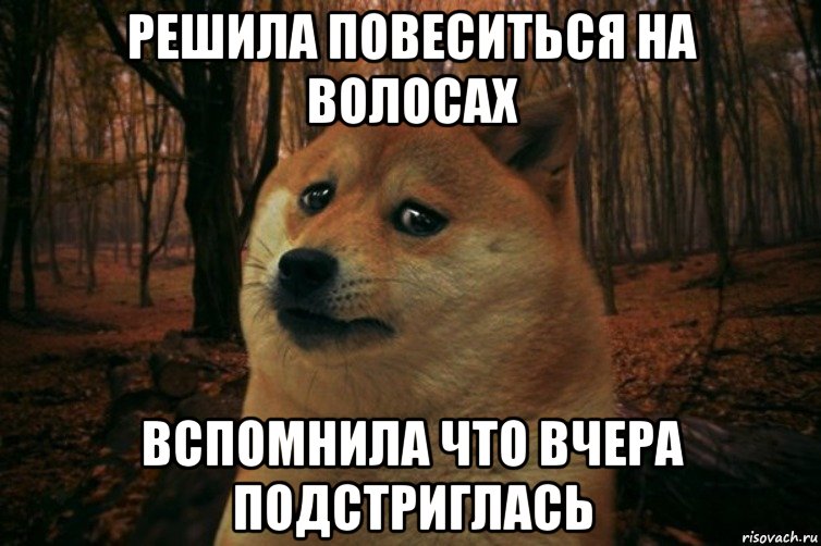 Решила повеситься на волосах Вспомнила что вчера подстриглась, Мем SAD DOGE