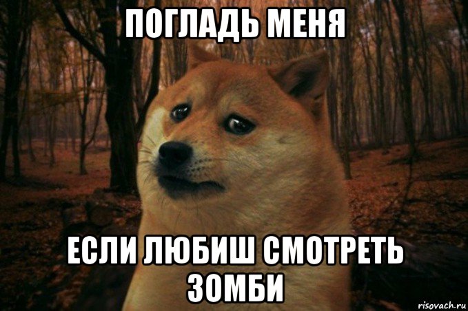 погладь меня если любиш смотреть зомби, Мем SAD DOGE