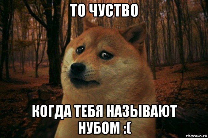 то чуство когда тебя называют нубом :(, Мем SAD DOGE