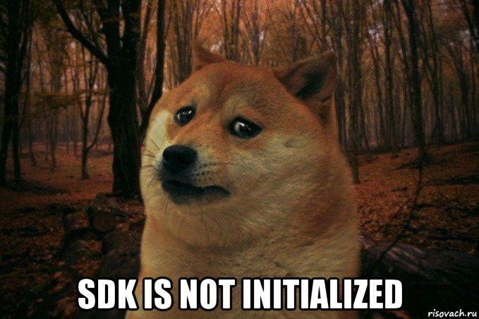  sdk is not initialized, Мем SAD DOGE