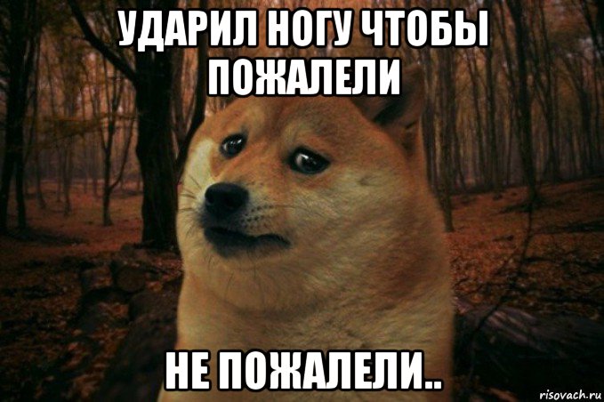 ударил ногу чтобы пожалели не пожалели.., Мем SAD DOGE