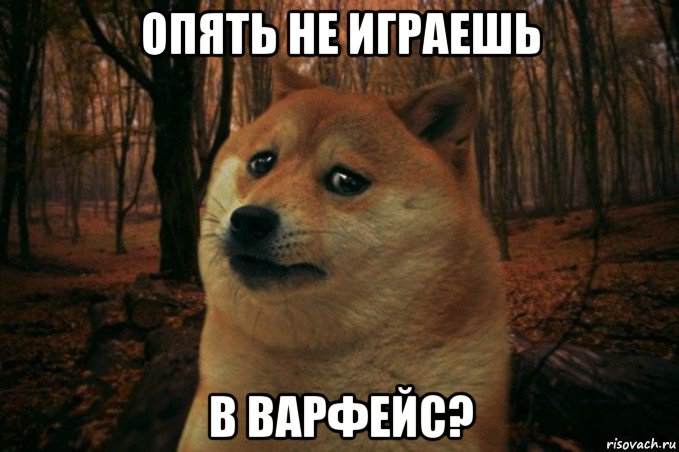 опять не играешь в варфейс?, Мем SAD DOGE