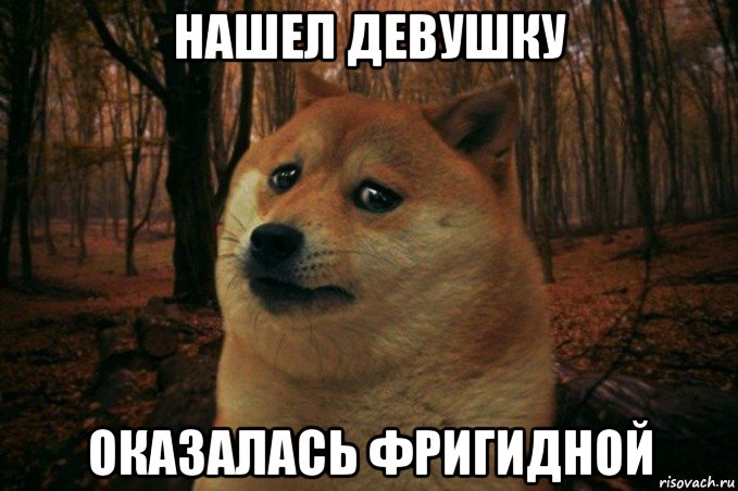 нашел девушку оказалась фригидной, Мем SAD DOGE