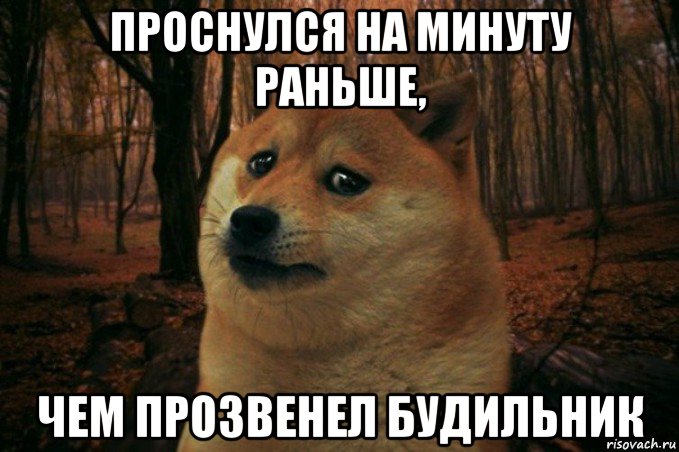 проснулся на минуту раньше, чем прозвенел будильник, Мем SAD DOGE