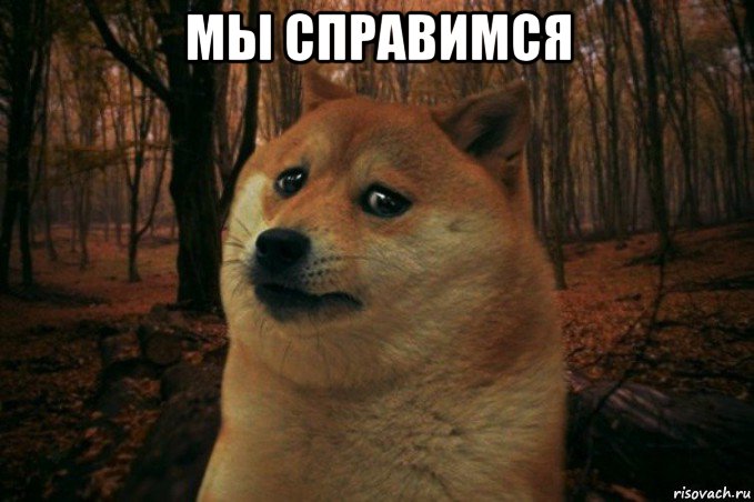 мы справимся , Мем SAD DOGE