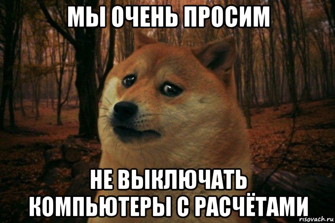 мы очень просим не выключать компьютеры с расчётами, Мем SAD DOGE