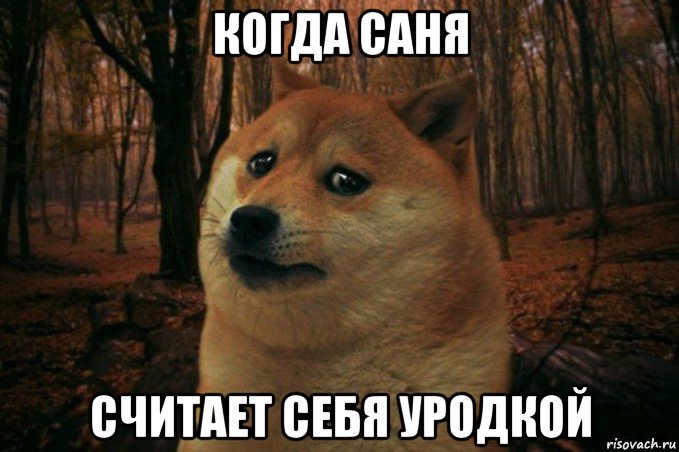 когда саня считает себя уродкой, Мем SAD DOGE