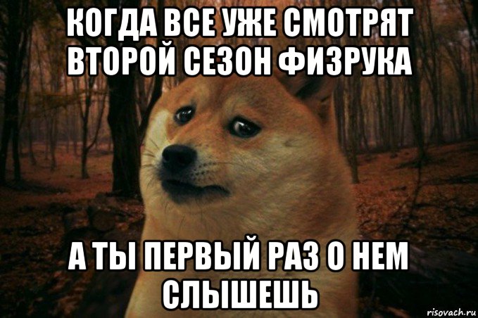 когда все уже смотрят второй сезон физрука а ты первый раз о нем слышешь, Мем SAD DOGE