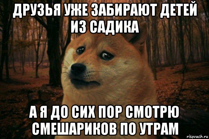 друзья уже забирают детей из садика а я до сих пор смотрю смешариков по утрам, Мем SAD DOGE