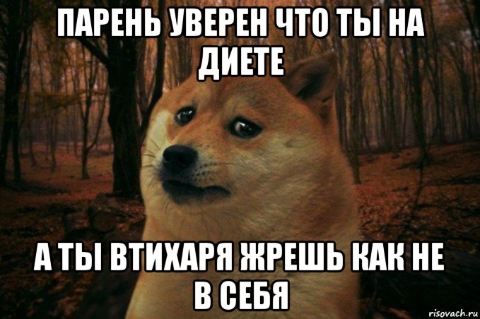 парень уверен что ты на диете а ты втихаря жрешь как не в себя, Мем SAD DOGE