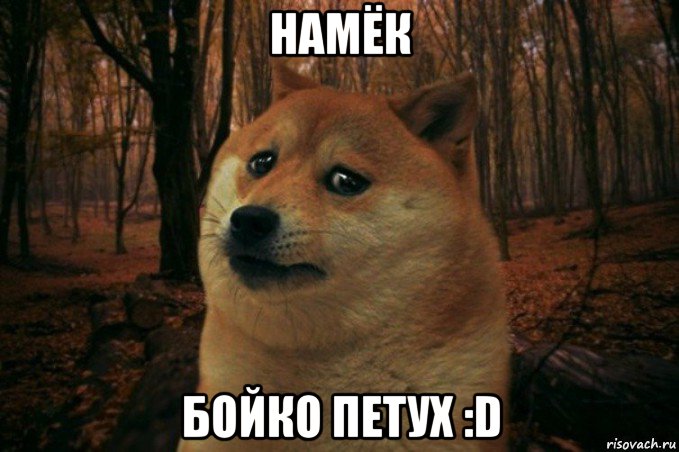 намёк бойко петух :d, Мем SAD DOGE